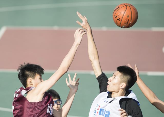 福利视频在线观看免费版
