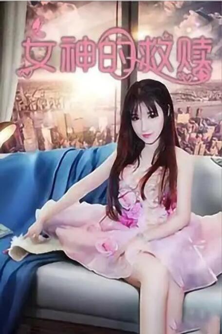 伦理片午夜视频在线观看免费