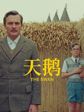 完美的时间
