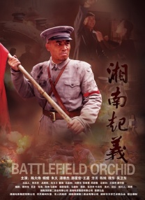 青青操青青操