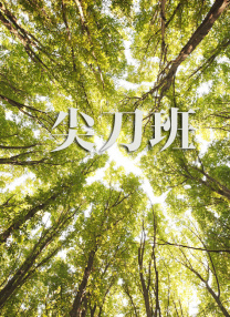 爆操嫂子