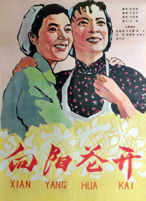 糖豆广场舞全部视频