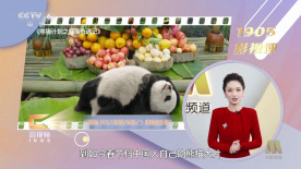 国内精品久久久久久不卡影院